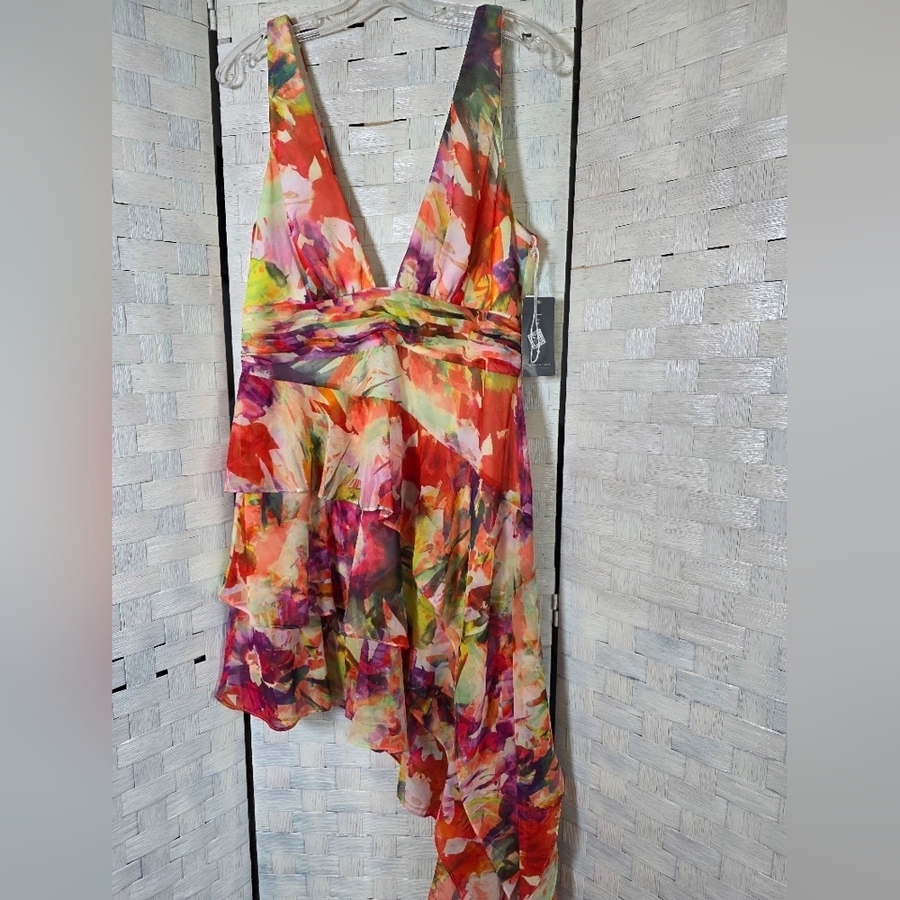 LIV FOSTER DRESS - Picture 10 of 14